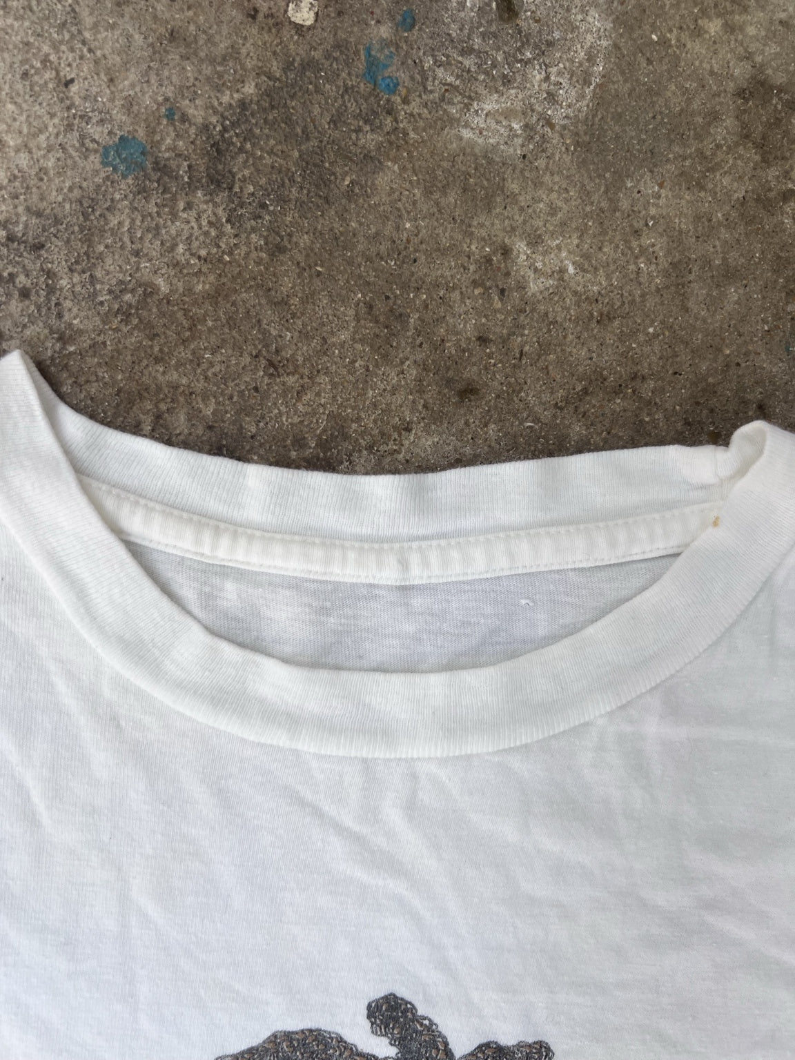 Collar and removed tag